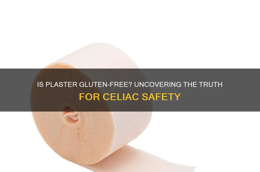 is plaster gluten free