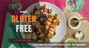 Is Plate Gluten-Free? Understanding Gluten in Your Meals