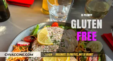 Is Plenity Gluten-Free? A Comprehensive Guide to Its Ingredients
