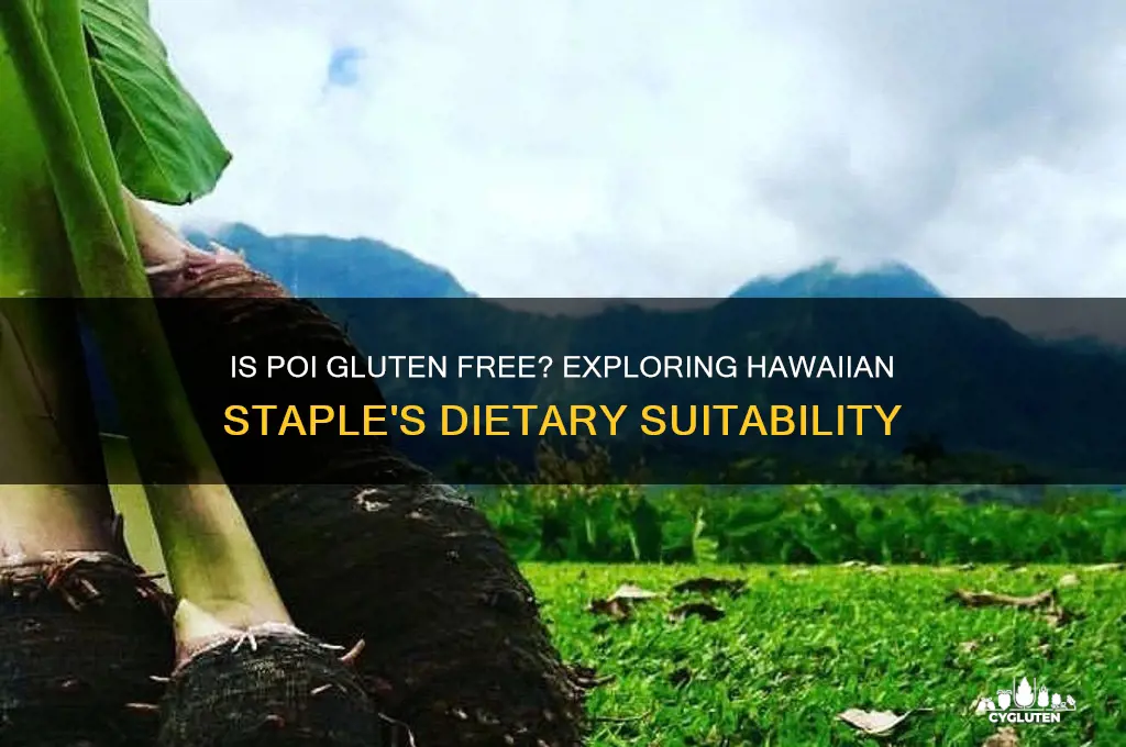 is poi gluten free