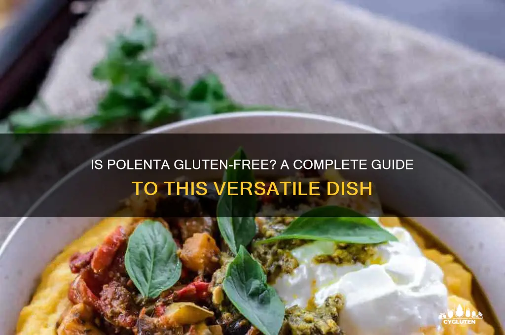 is polemta gluten free