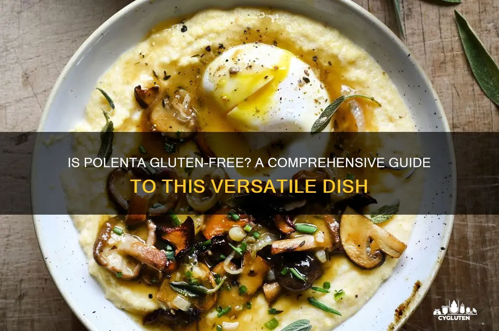 is polenta gluten-free
