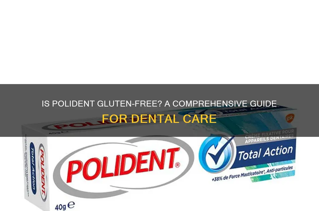 is polident gluten free