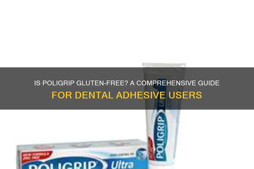 is poligrip gluten free