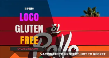 Is Pollo Loco Gluten-Free? A Complete Guide to Safe Dining