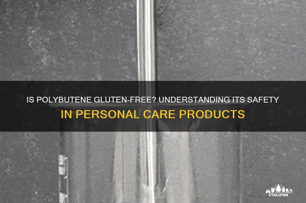 is polybutene gluten free