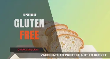 Is Polynose Gluten-Free? A Comprehensive Guide to Its Ingredients