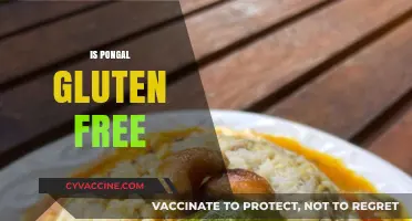 Is Pongal Gluten-Free? Exploring Traditional South Indian Dish Ingredients