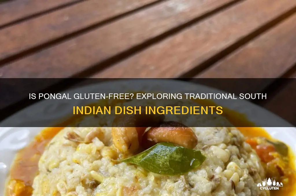 is pongal gluten free