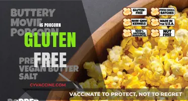 Is Popcorn Gluten-Free? A Crunchy Snack Fact Check