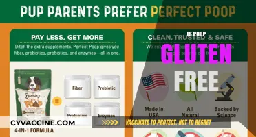 Is Poop Gluten-Free? Unraveling the Digestive Mystery