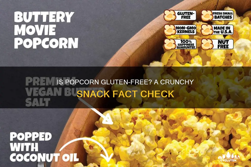 is pop corn gluten free