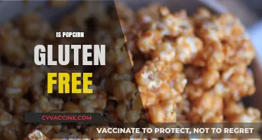 Is Popcorn Gluten-Free? A Crunchy Snack Fact Check