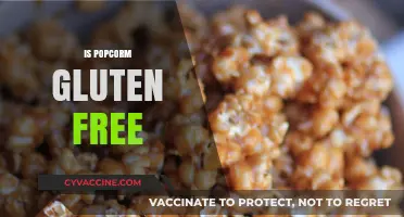 Is Popcorn Gluten-Free? A Crunchy Snack Fact Check