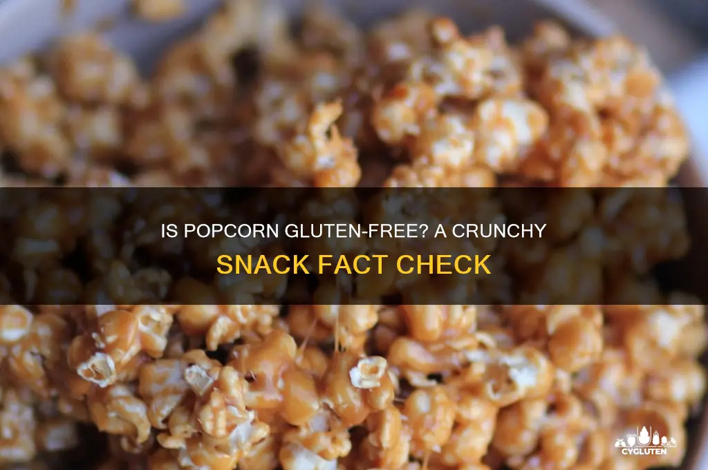is popcorn gluten fre