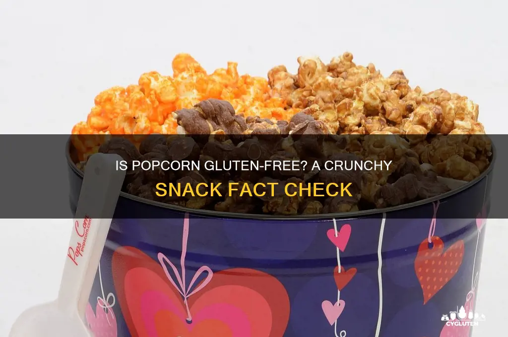 is popcorn gluten free