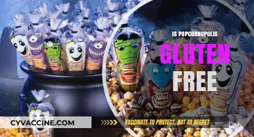 Is Popcornopolis Gluten-Free? A Crunchy Snack Fact Check