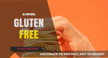 Is Poptopia Gluten-Free? A Comprehensive Guide to Your Snack Choice