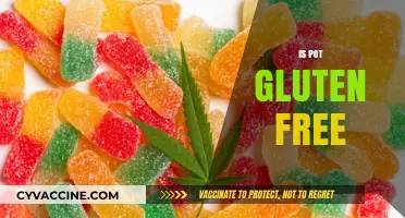 Is Pot Gluten-Free? Exploring Cannabis and Gluten-Free Diets