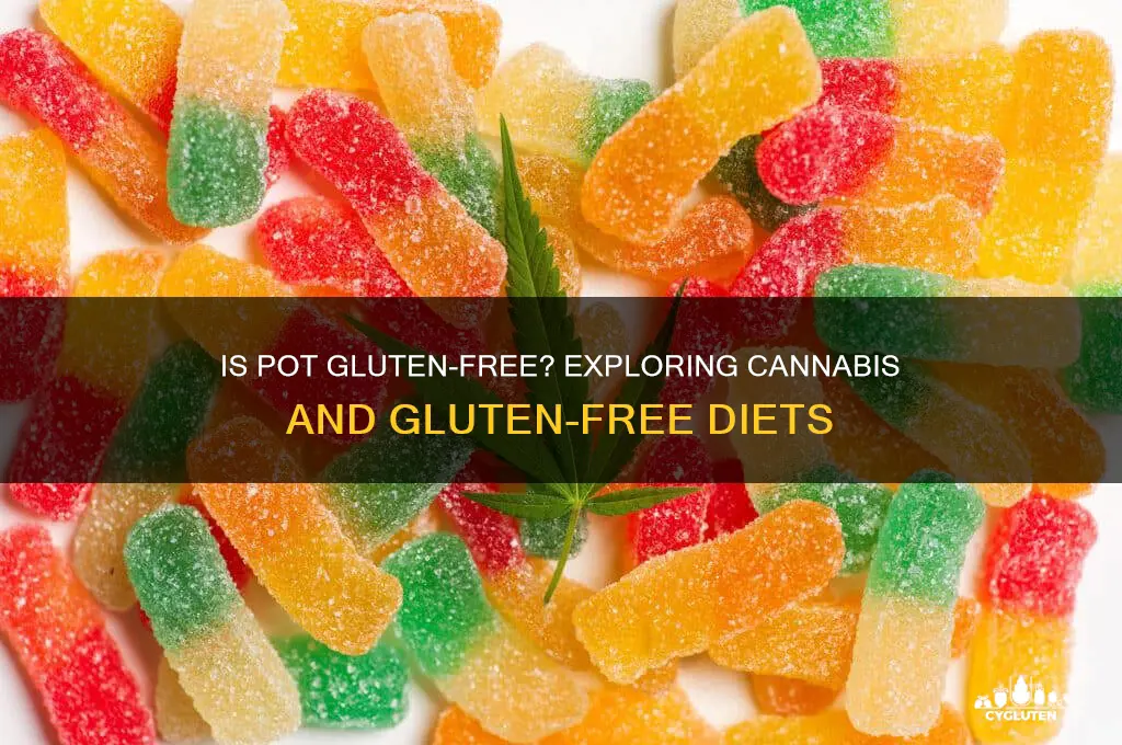 is pot gluten free