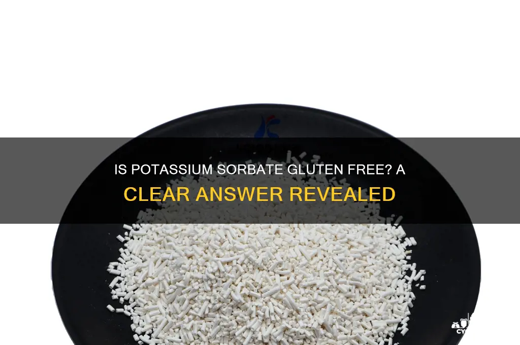 is potassium sorbate gluten free