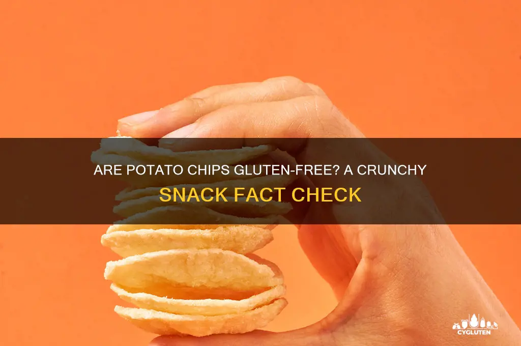 is potato chips gluten free