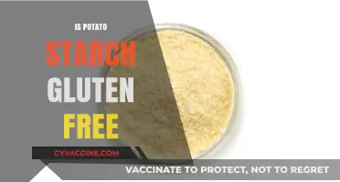 Is Potato Starch Gluten-Free? A Clear Answer for Celiacs