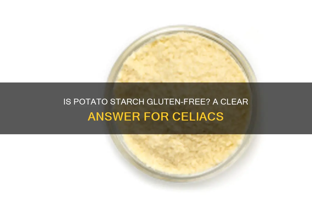is potato starch gluten free