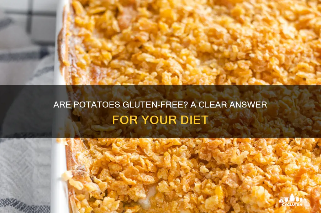is potatoe gluten free