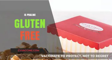 Is Praline Gluten-Free? A Sweet Treat Guide for Celiacs