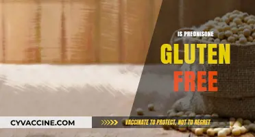 Is Prednisone Gluten-Free? Essential Facts for Celiac Patients