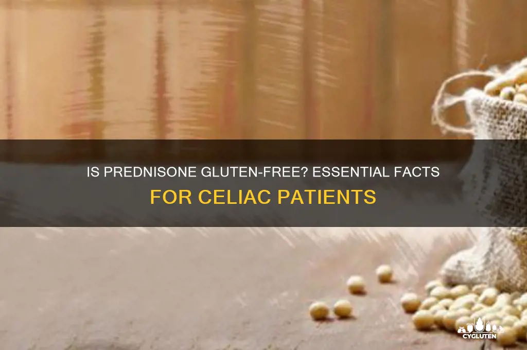 is prednisone gluten free