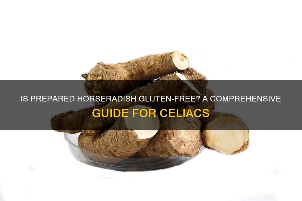 is prepared horseradish gluten free