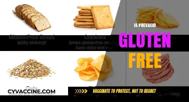 Is Prevacid Gluten-Free? A Comprehensive Guide for Celiac Patients