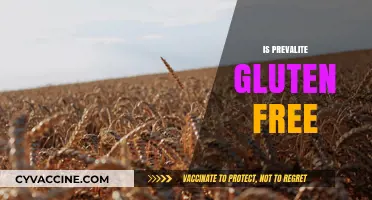 Is Prevalite Gluten Free? A Comprehensive Guide to Its Ingredients