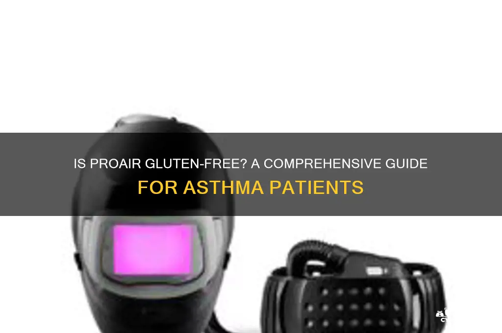 is proair gluten free