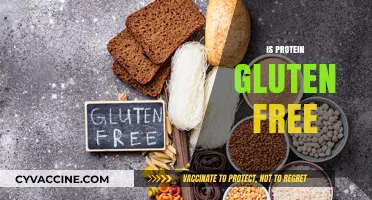 Is Protein Gluten-Free? Understanding Your Dietary Choices and Needs
