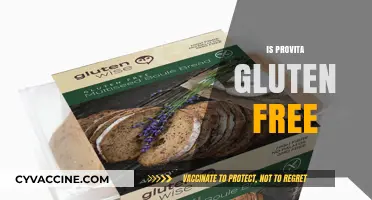 Is Provita Gluten-Free? A Comprehensive Guide to Your Snack Choice