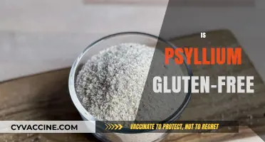 Is Psyllium Gluten-Free? A Comprehensive Guide for Dietary Needs