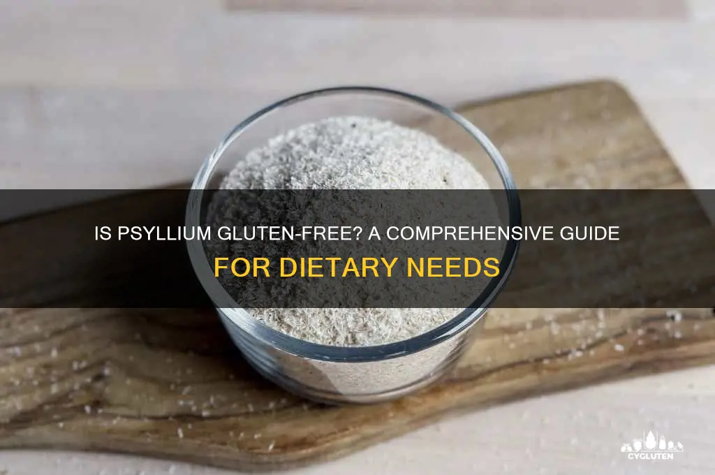 is psyllium gluten-free