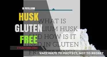 Is Psyllium Husk Gluten-Free? A Comprehensive Guide for Celiacs