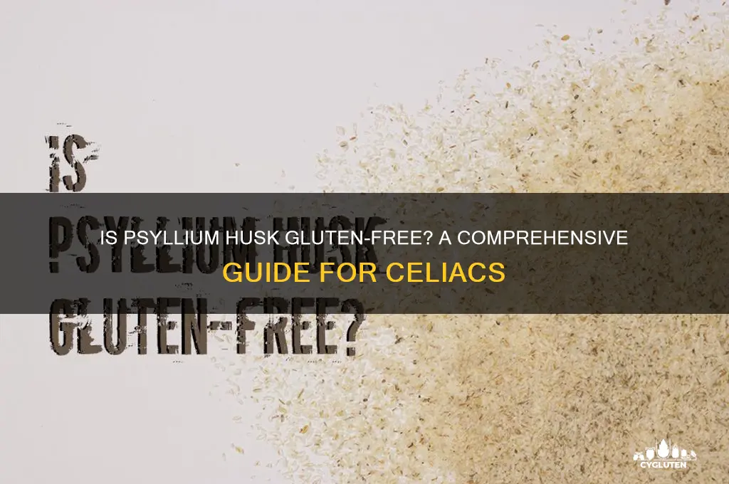 is psyllium husk gluten free