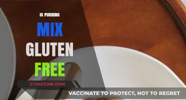 Is Pudding Mix Gluten-Free? A Complete Guide for Dessert Lovers