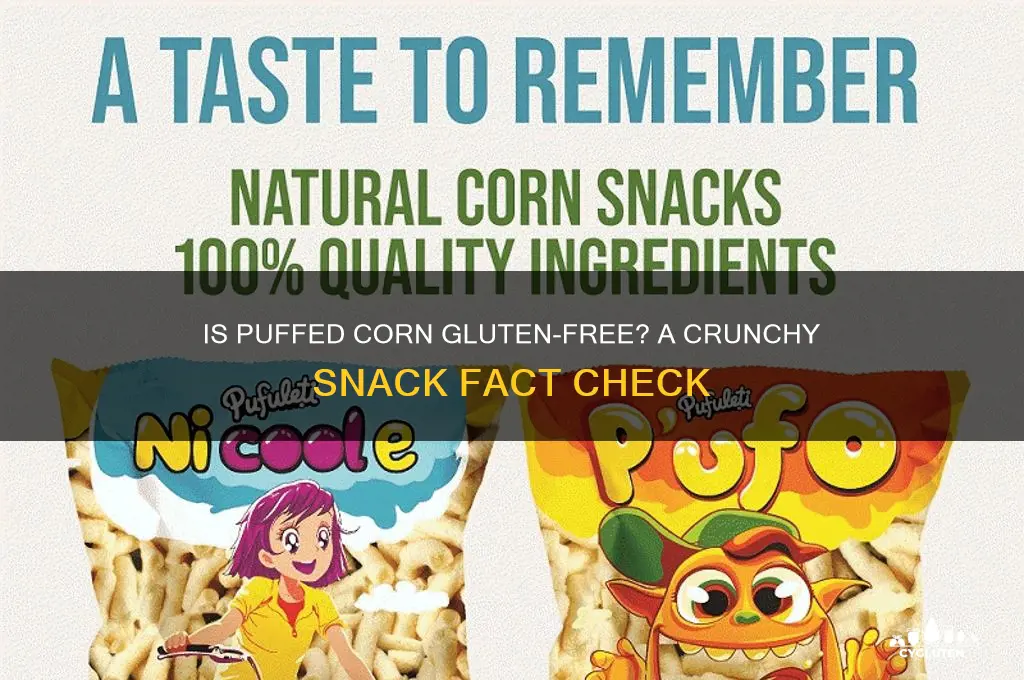 is puffed corn gluten free