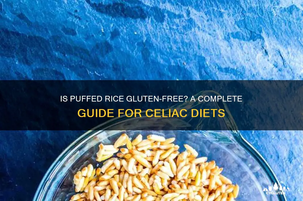 is puffed rice gluten free