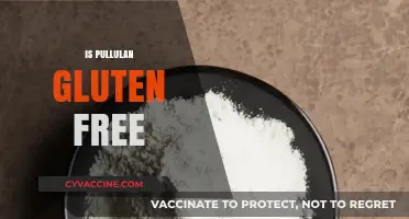 Is Pullulan Gluten Free? A Comprehensive Guide for Dietary Needs