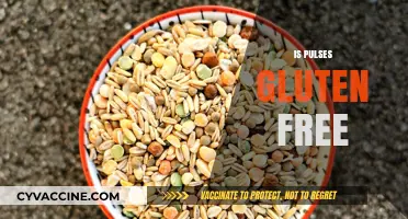 Are Pulses Gluten-Free? A Comprehensive Guide to Legumes and Celiac Diets
