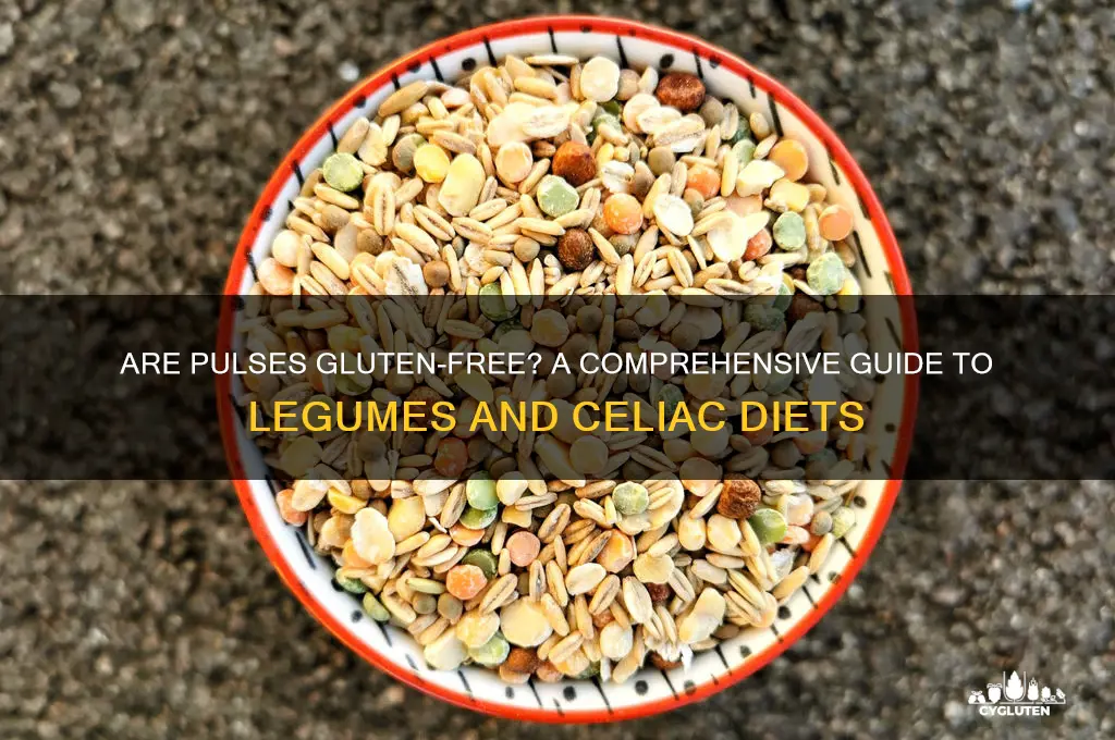 is pulses gluten free