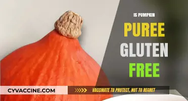 Is Pumpkin Puree Gluten Free? A Complete Guide for Celiacs