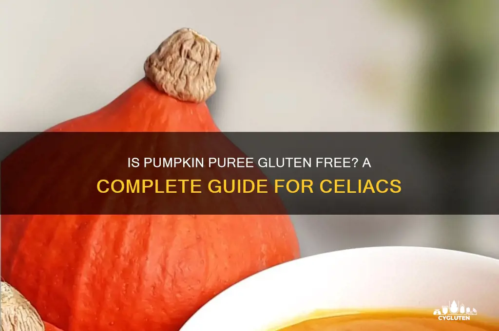 is pumpkin puree gluten free